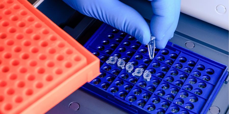 D-PCR-DY-23 Testfagen