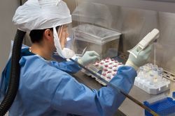 Personal Protective Equipment In The Lab Lab Manager