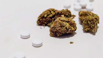 Cannabis and Opioids