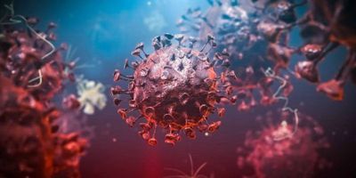 Fda Provides Eua To Perkinelmer S Serological Test For Covid 19 Antibodies Lab Manager