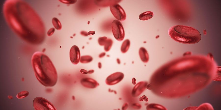 A Simple Method to Monitor Hemolysis in Real Time | Lab Manager