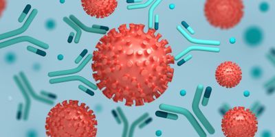In First 3 Months Of Mild Covid 19 Coronavirus Antibodies Fall Dramatically Clinical Lab Manager