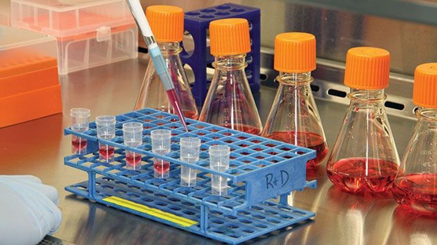 How Do Undefined Components in Cell Culture Media Impact Your Research