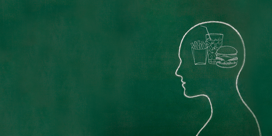 The brain essay