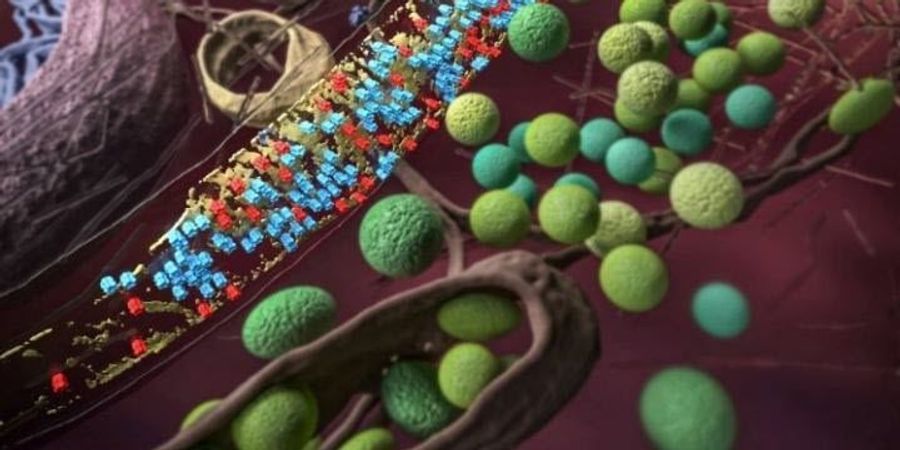 Essay on molecular biology lab