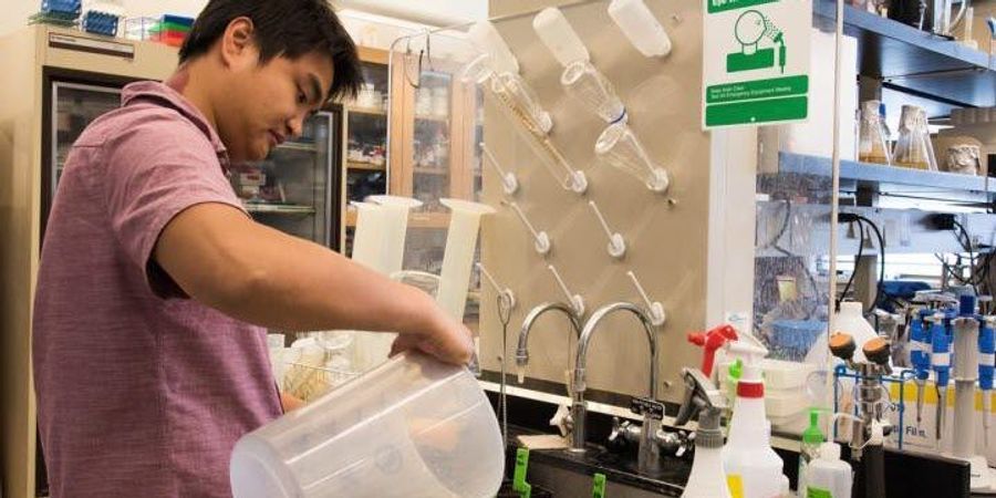 Researcher Boosts Vegetable Oil Production in Plant Leaves - Vimarsana News