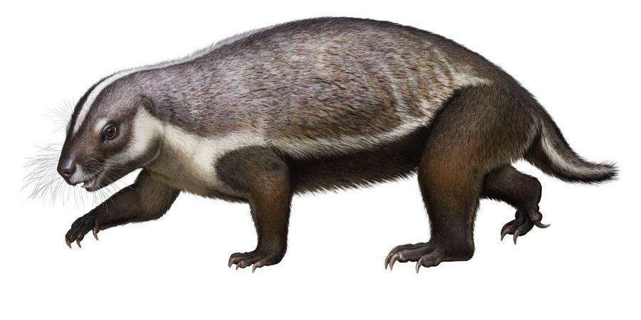 The 'Crazy Beast' That Lived among the Dinosaurs - Vimarsana News