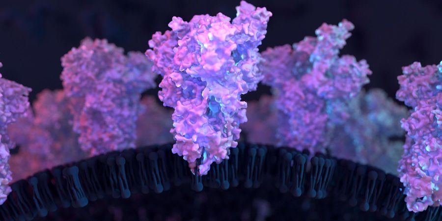 New Insight into Differences between SARS-CoV-2 and SARS-CoV - Vimarsana News