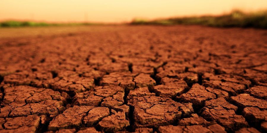 New Method for Growing Cyanobacteria in Mars-Like ...