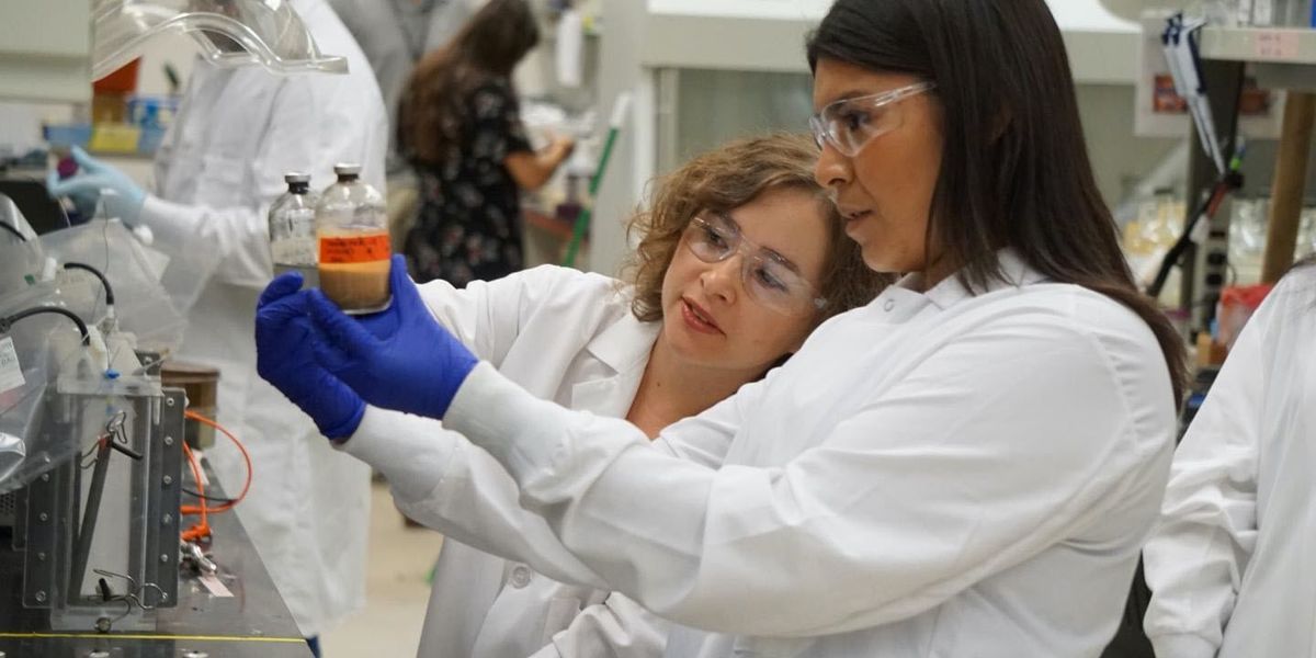 Harvesting Useful Products from Microbial Growth - Vimarsana News