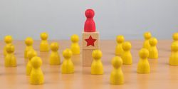 working with star employees