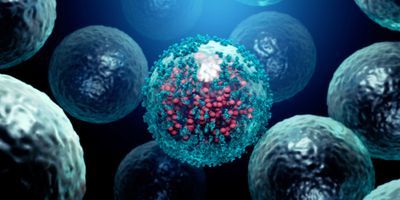 The role of TIMS-MS in ensuring high purity in biopharmaceuticals
