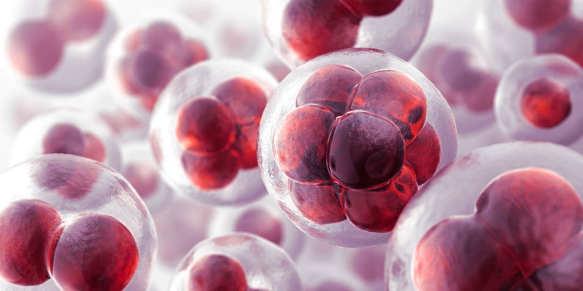 Researchers Publish New Theory of Life's Multiple Origins - Vimarsana News