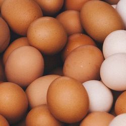 Image of eggs
