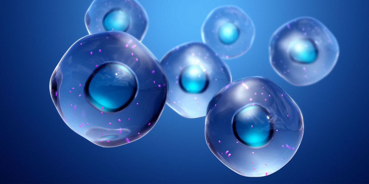 Serendipitous Discovery Leads to a New Understanding of How Cells Multitask - Vimarsana News