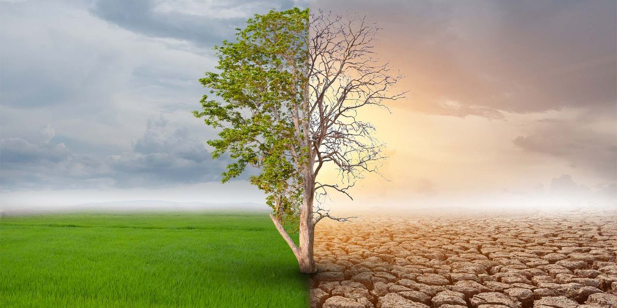More than 99.9 Percent of Studies Agree: Humans Caused Climate Change - Vimarsana News
