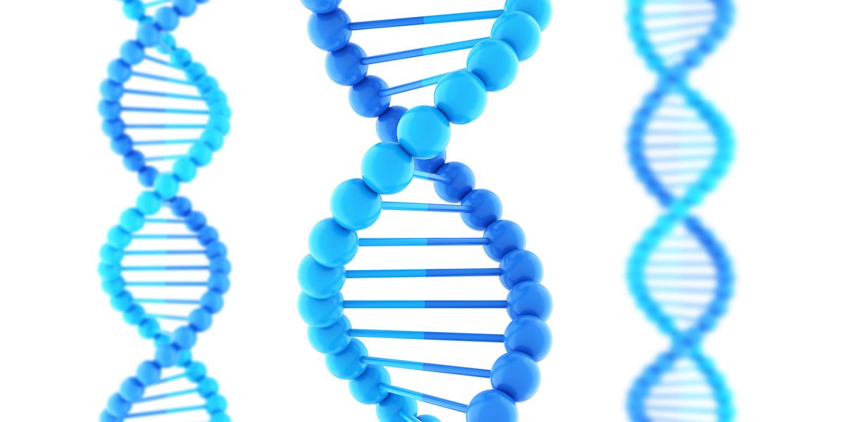 So-Called Junk DNA Plays Critical Role in Mammalian Development - Vimarsana News