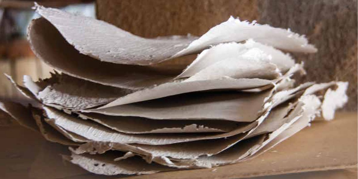 One Man's Passion Transformed the Paper Industry as We Know It - Vimarsana News