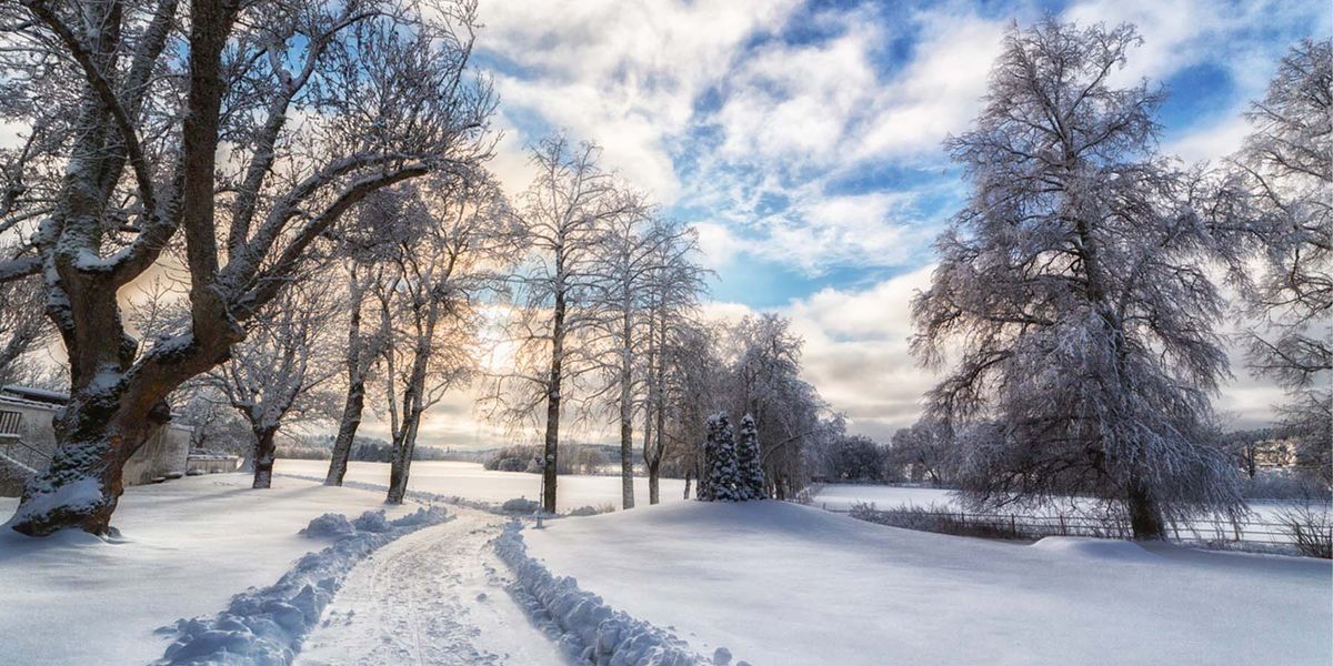 Citizen Scientists' Contributions a Boon to Snowpack Modeling - Vimarsana News