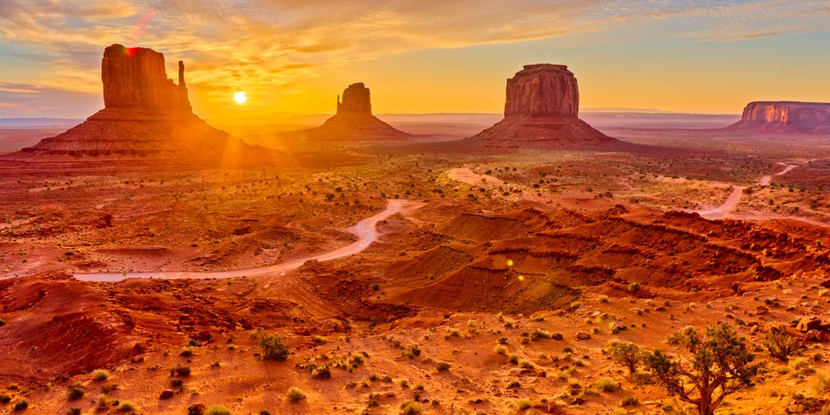 'Genetic Goldmine' Underlying Plant Resilience in Extreme Desert Environment - Vimarsana News