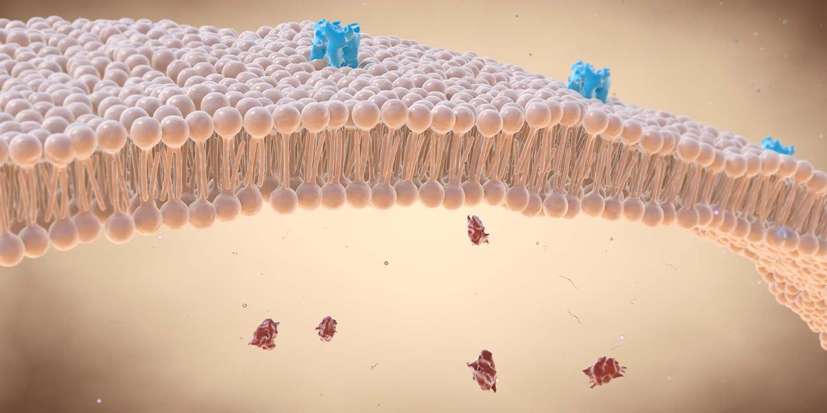 For the First Time, DNA and Proteins Sensed by De Novo-Designed Nanopore - Vimarsana News