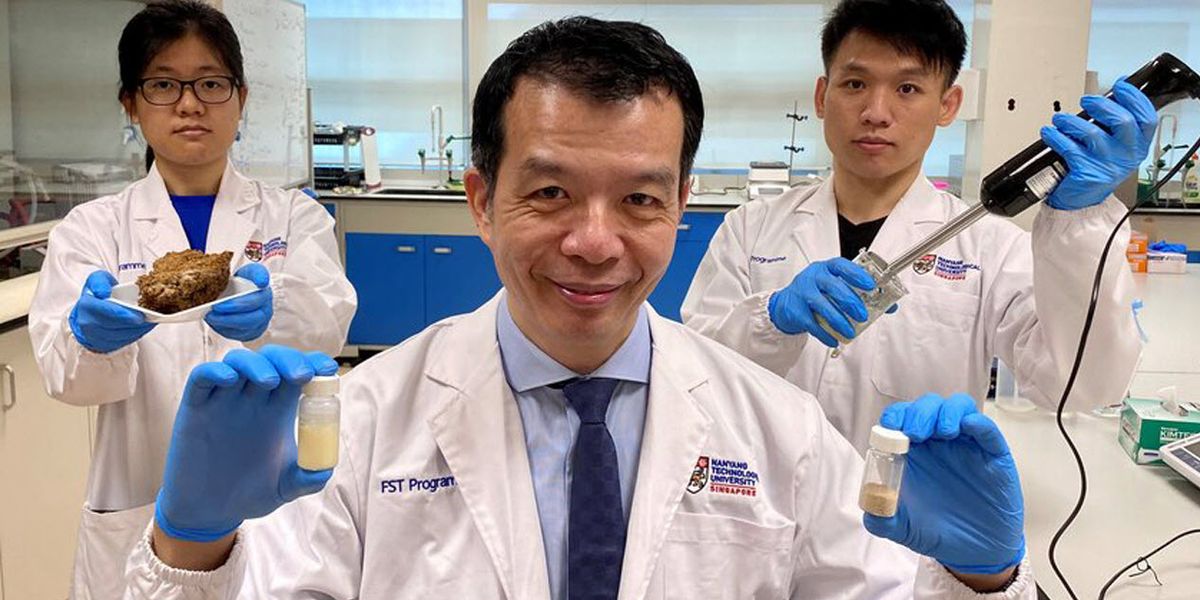 Protein-Rich Product Made from Plants Could Replace Dairy and Eggs - Vimarsana News
