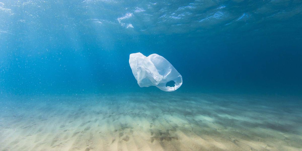 plastic bolsas environment