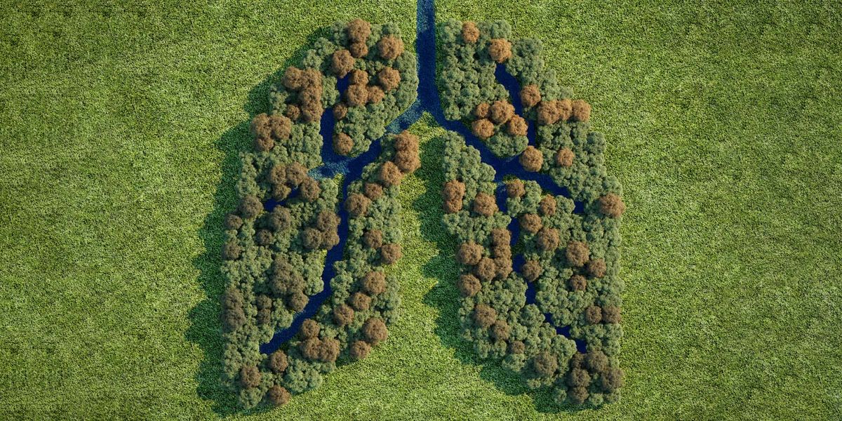 Scientists Urge Sweeping Changes to Reverse Dangerous Biodiversity Loss - Vimarsana News