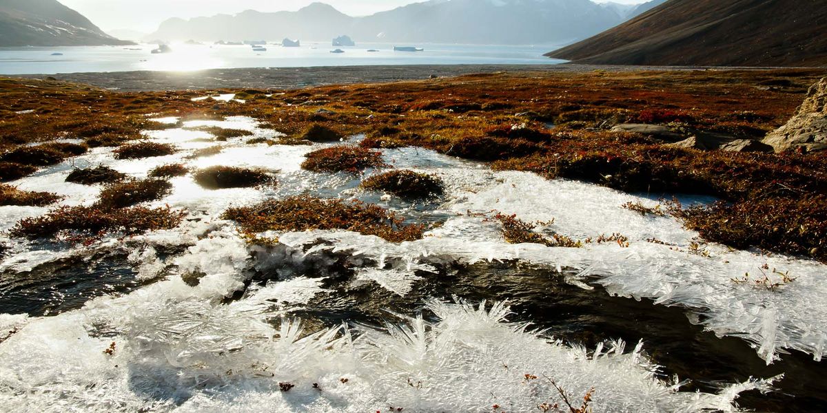 Thawing Permafrost Could Expose Arctic Populations to Cancer-Causing Radon - Vimarsana News