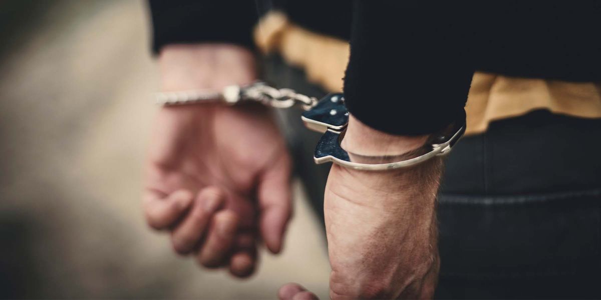 Study Examines Accuracy of Arrest Data in FBI's NIBRS Crime Database - Vimarsana News