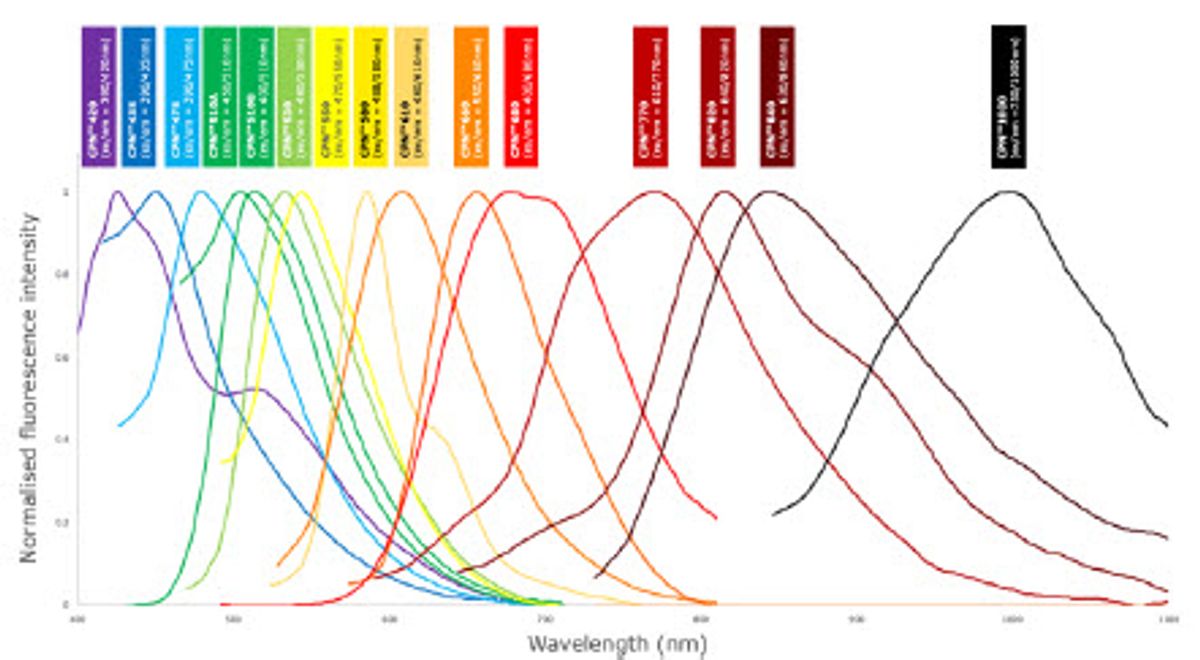 Fig 4. Fluorescence emission spectra of CPNs™ from Stream Bio’s (spanning 420 nm to 1000 nm). CPNs™ fluorescence at specific wavelengths is due to the chemical composition. The excitation and emission characteristics of the CPNs™ are tailored by selecting specific conjugated polymers for the core.