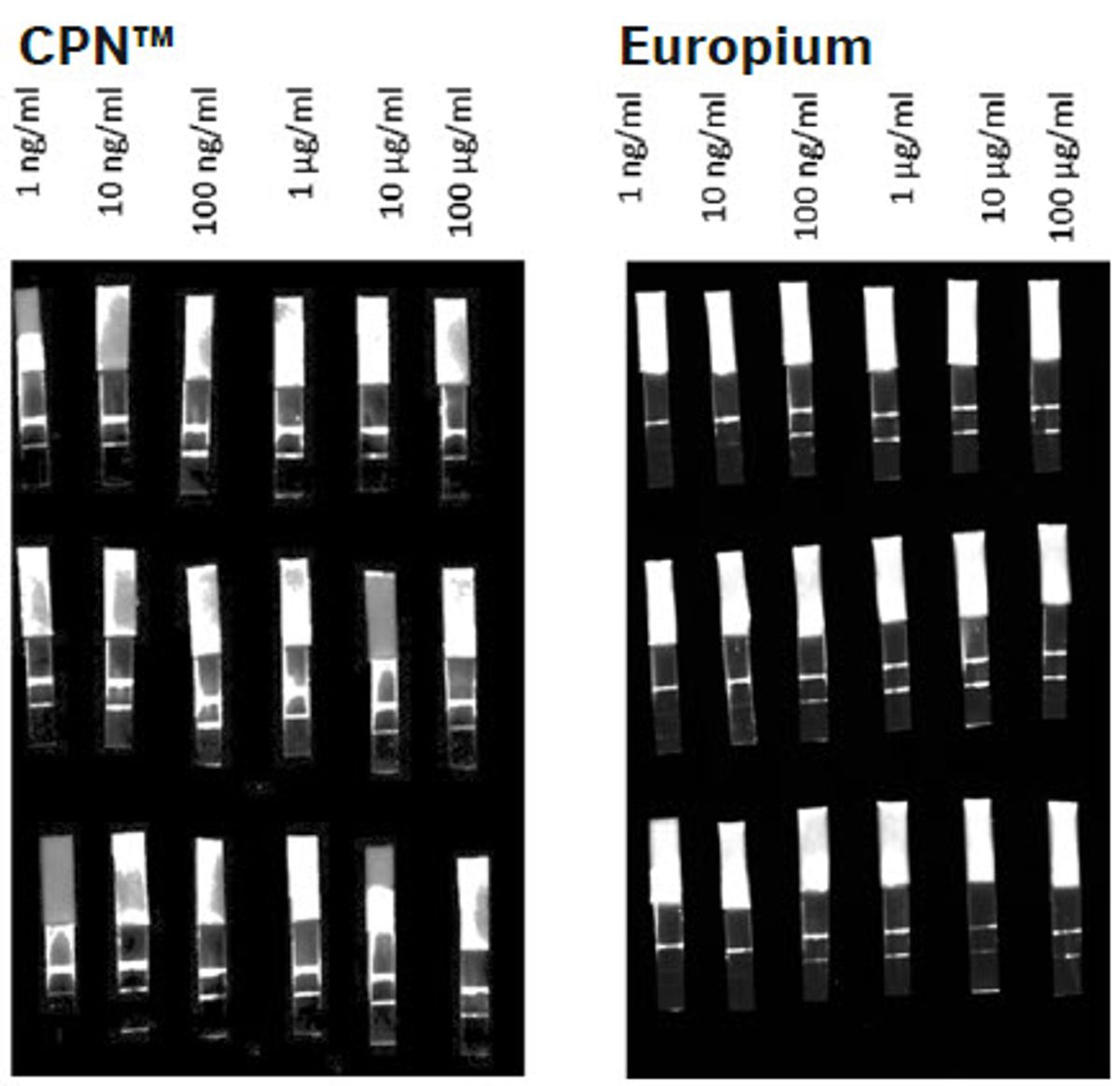 Fig 5. CPN610 or europium was used as detection agents by linking to anti-hCG detection antibodies. The strips were imaged using the ImageQuant™ 800 and the signal from the test and control lines analyzed to give a mean pixel intensity for each line. The image was captured using the Blue epi (460 nm) and Cy™3 UV filter for the CPN610 signal and UV epi (365 nm) and Cy™3 UV filter for the europium signal. White grayscale was used to indicate fluorescence signal, i.e., a high signal is shown as white in the image.