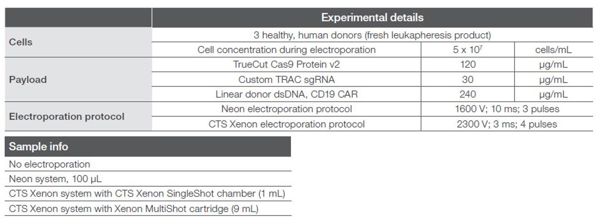 Figure 2. Experimental conditions and electroporation parameters.