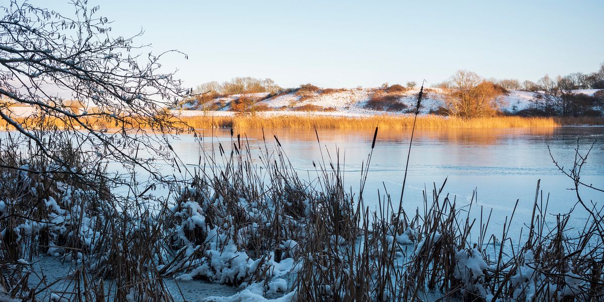 What Is a Pond? Study Provides First Data-Driven Definition - Vimarsana News