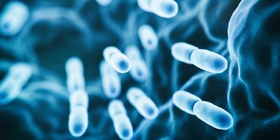 3d rendered microbiology image of bacteria