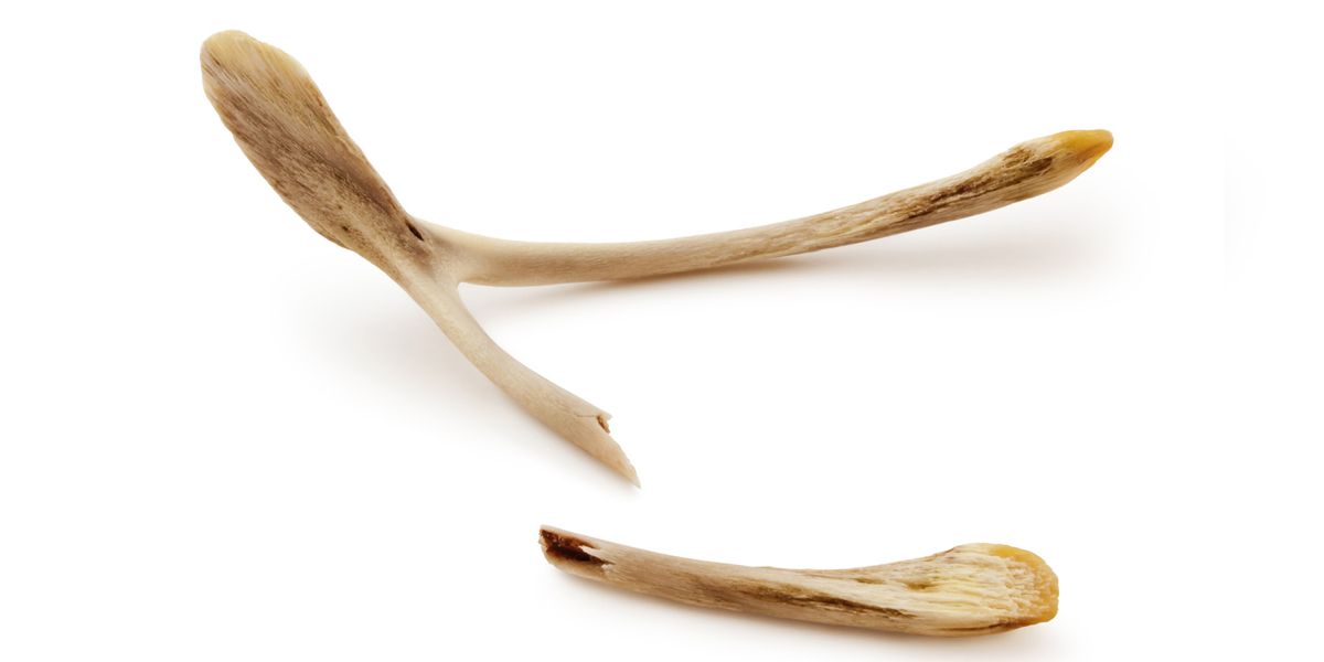 Chicken Bones and Snail Shells Help Archaeologists to Date More Precisely - Vimarsana News