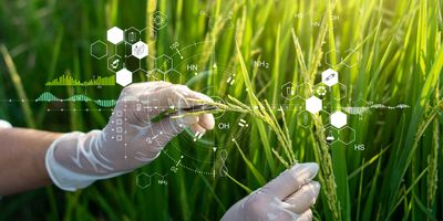 Science of plant research, Chromosome DNA and genetic