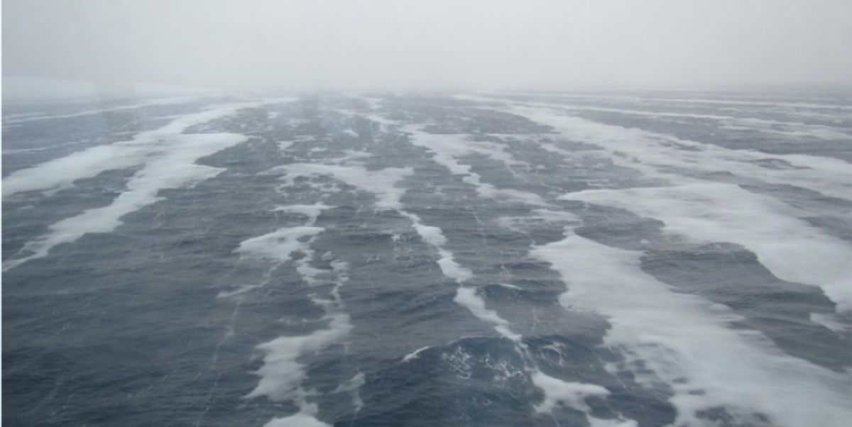 Deeper Understanding of the Icy Depths - Vimarsana News