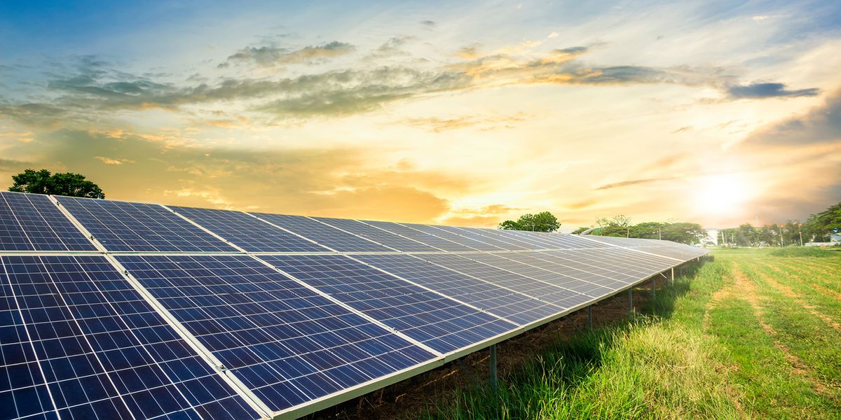 Emerging Technology Allows Solar Panels and Agriculture to Coexist - Vimarsana News