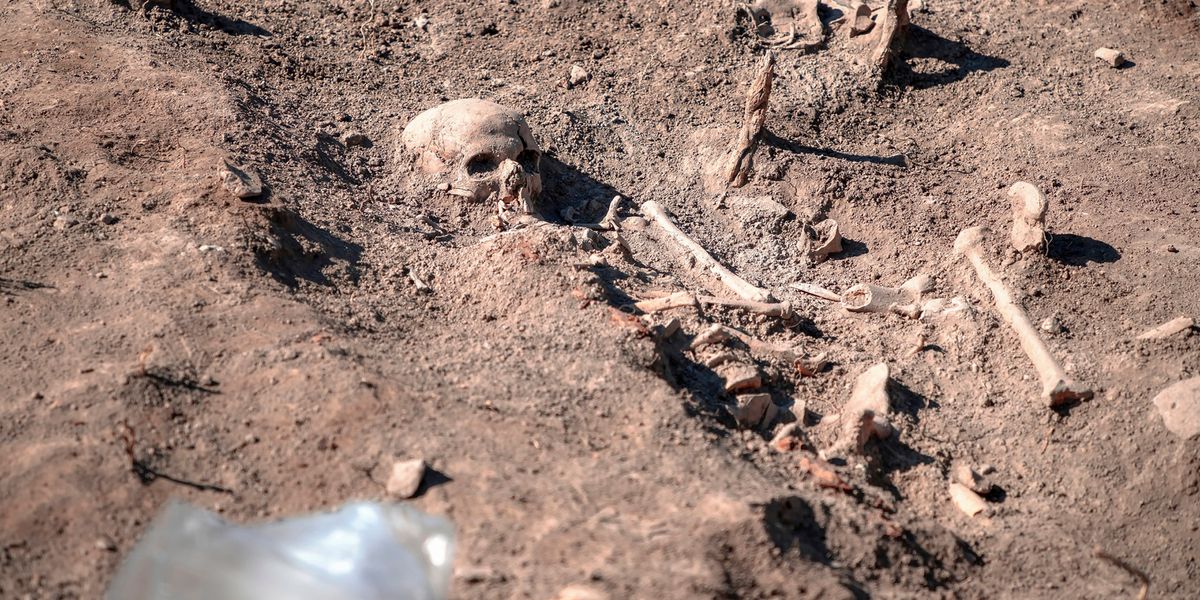 Researchers Determine Genetic Variants Offered Protection during Black Death - Vimarsana News