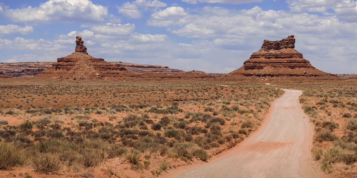 Balancing Mining Activities with Survival of Utah's Rare Plants - Vimarsana News