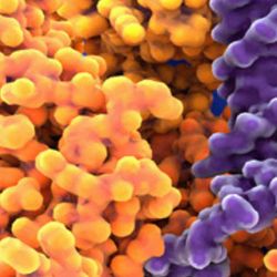 Effects of ionizable and non-ionizable excipients on lyophilized RNA formulations using FTIR-ATR technology