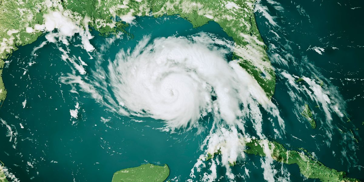 Researchers Work to Improve Access to Special Needs Hurricane Shelters - Vimarsana News