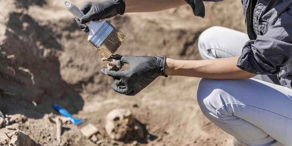Ancient African Empires' Impact on Migration Revealed by Genetics - Vimarsana News