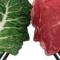Animal-Based VS. Alternatively Sourced Meat: Do You Know the Difference?
