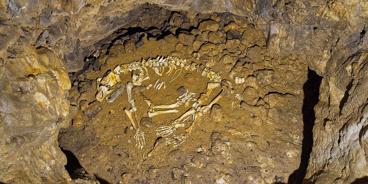 Searching for Ancient Bears in an Alaskan Cave Led to a Human Discovery - Vimarsana News