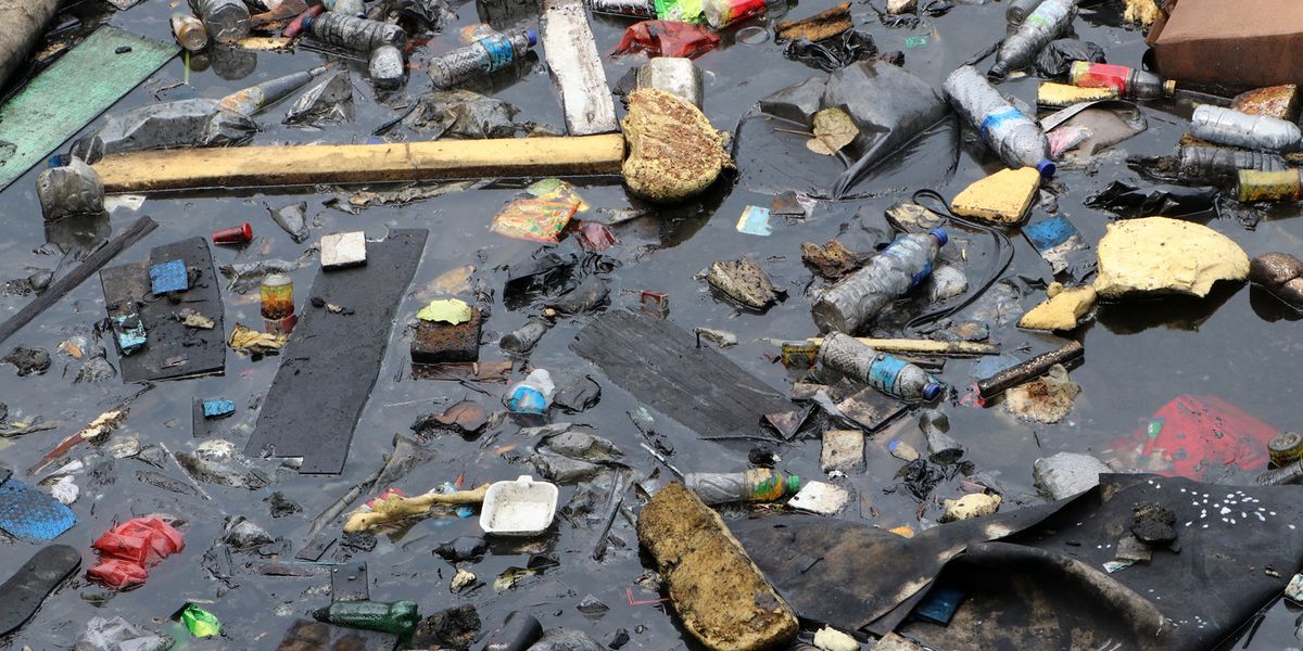 Converging Ocean Currents Bring Floating Life and Garbage Together - Vimarsana News