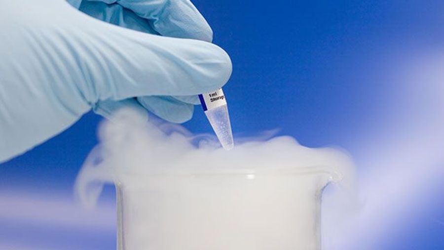 Selecting the Best Cold Storage Solution for Your Lab Lab Manager