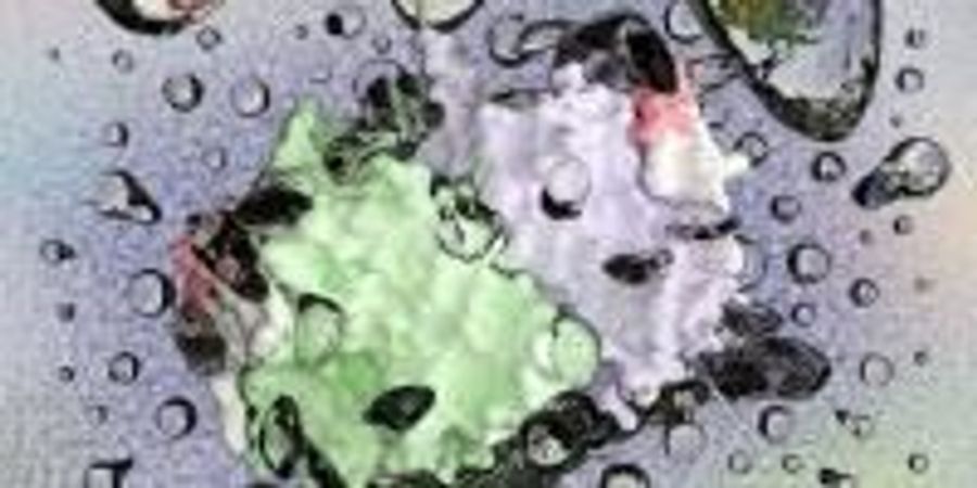 Is wax a lipid image