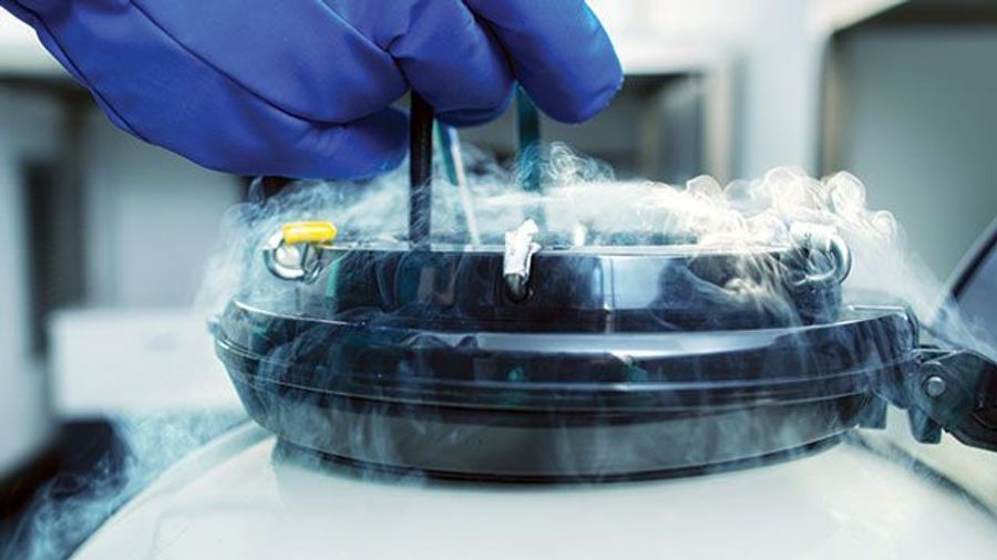 Working with Liquid Nitrogen Lab Manager